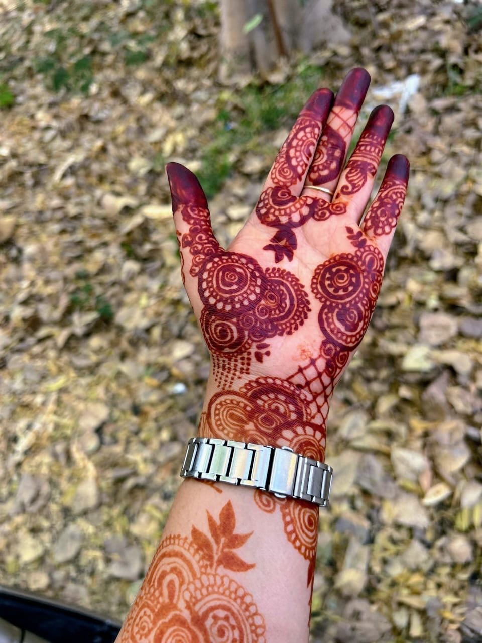 home 16 ce4a116e c92f 487c ad4d a7167f1cfe54 1